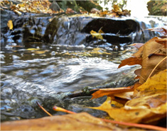 短信验证码轰炸平台